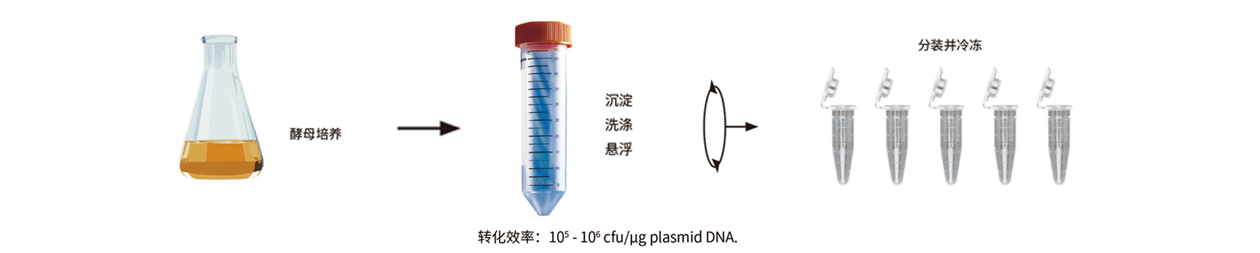 優(yōu)享價(jià)酵母買贈.png